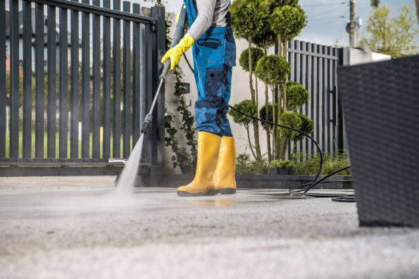 Best Animal Enclosure Cleaning  in White City, FL